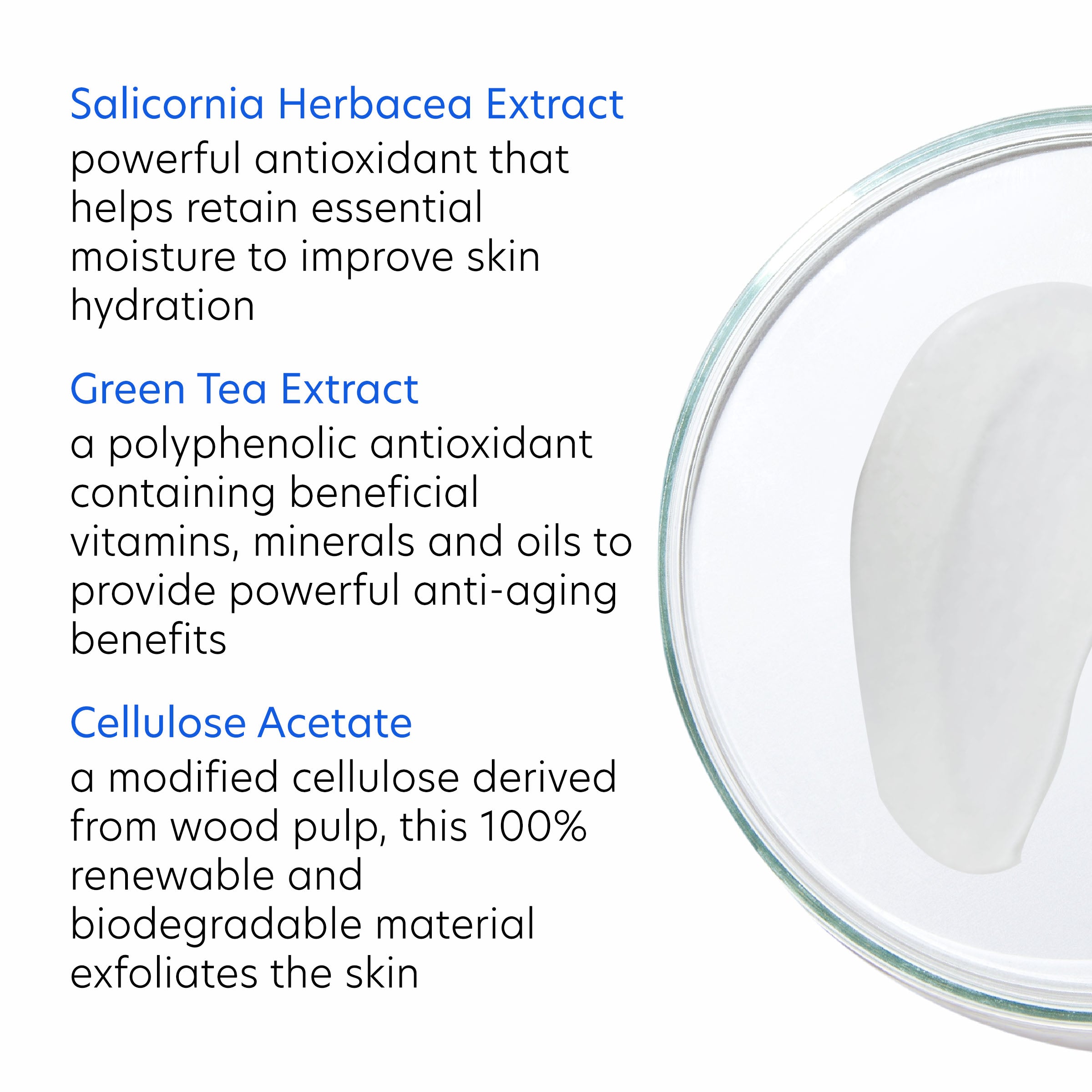 Daily Exfoliant
